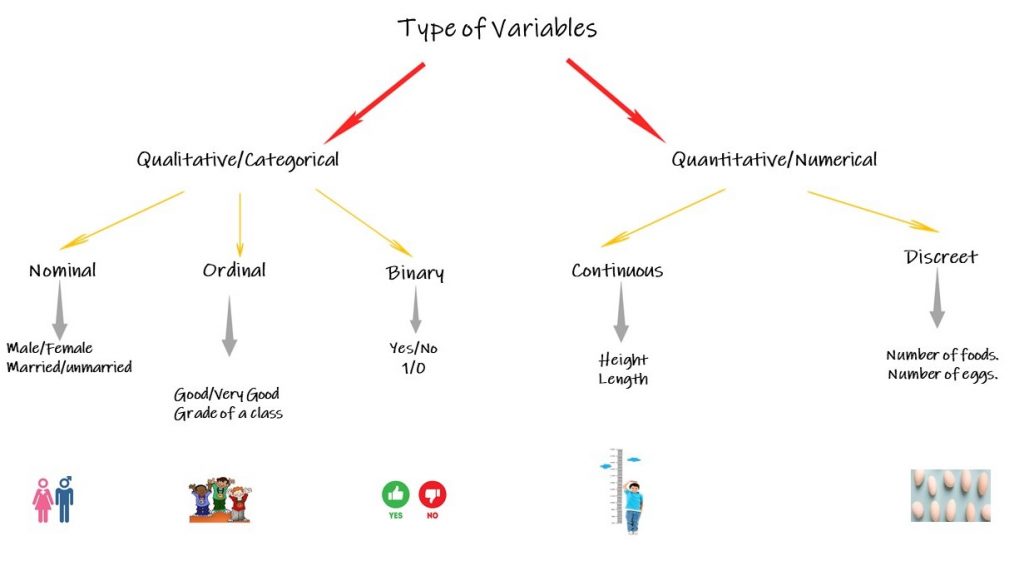 type of variables
