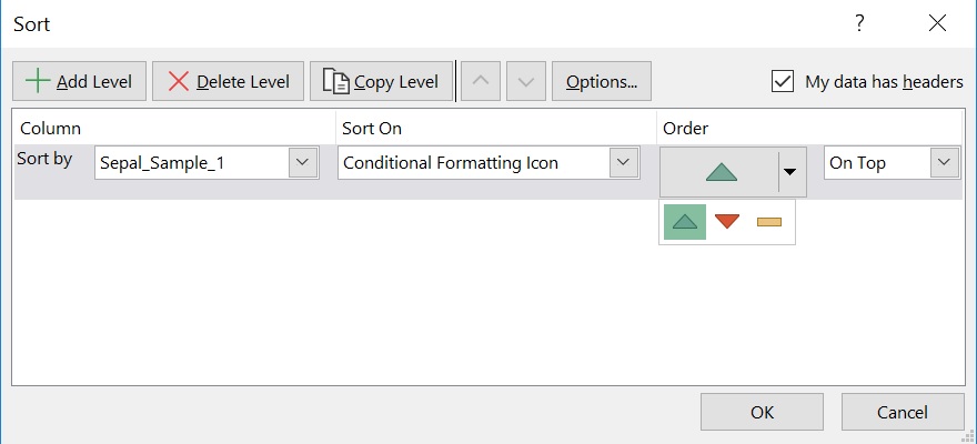 Sorting the data by conditinal formatting icon