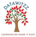 DataWitzz